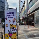 요거트퍼플발산