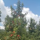 사촌한우농장 이미지