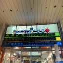 속초종합중앙시장 | 속초중앙시장 맛집 신토불이감자옹심이 내돈내산 후기