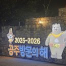 충청남도 공주시청 | 2025공주백제문화제야경 후기 , 애견동반 밤축제