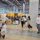 다음펫 | 2026 부산펫페어 관람 후기 | 인기 부스, 현장 분위기, 구매 추천템 정리