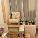 루이바이오 이미지