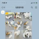 딩동댕치원 이미지