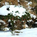 함평자연생태공원 이미지