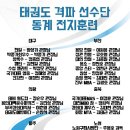 무혼 국가대표 MAS 태권도장 이미지