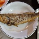 돈푸대포차