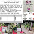 푸드 앤 라이프(Food & Life)