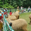 석천목장 이미지