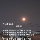 한여름 밤에 이미지