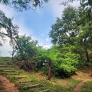 신현2농로 이미지