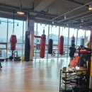 한국위너복싱 하남미사점 | <명품 복싱 명가 한국위너복싱 - 하남미사점> 2026특별 신년 행사 및 안내사항 공지!!