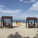 강릉 안목 해수욕장 이미지