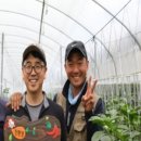 건강이농장 이미지