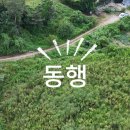 성심부동산중개인 이미지