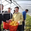 성주참외원예농협 이미지