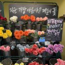 보로플라워마켓 - 송파구 올림픽로 265 | 청첩장 모임 선물｜잠실역꽃집 ‘보로 플라워 마켓’ 방문 후기