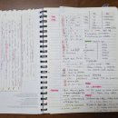 기초 필수 스페인어 단어공부 | 스페인어 플렉스 단기간 공부 기록 1