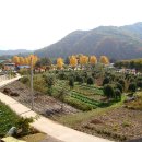 팔렬중학교 이미지