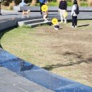 황제꽈배기 | 창원 중동 황제 찹쌀 꽈배기 맛집 후기 내돈내산