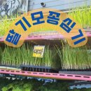 혁이네종묘