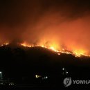 '양양 산불' 가옥 2채 산림 23.5㏊ 소실…주민 370여명 대피 이미지