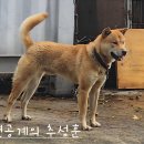 함마의 손자 이미지