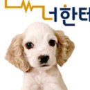 반했다 너한테 이미지