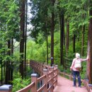 제암산휴양림화장실 이미지