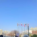 날으는고양이 | 2025 35th 궁디팡팡캣페스타 막날 방문 후기(집사 말많음주의)