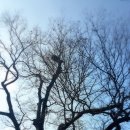 평지리마을회관 이미지