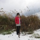 사랑열쇠 이미지