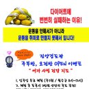 진양검도관 이미지