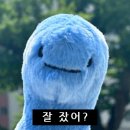 먼지.zip 이미지