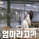 아들은 엄마의 나이를 모른다 스타투데이