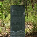 철쭉동산 이미지