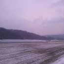 벌곡초등학교 이미지