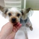 파란종합 동물병원 이미지