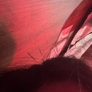 대구더하다한방병원 이미지