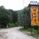 대궐낚시