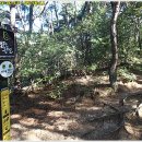 대구공산초등학교 Daum카페