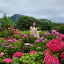 신창가마솥순대국 이미지