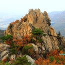 탑동초등학교 이미지