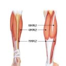 머슬제이 이미지