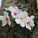 광신고등학교 이미지