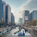 맑은환경 | 서울 청계천 책읽는 맑은냇가 야외도서관 위치 후기