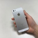 올리사랑실버홈 | 아이폰se 하이고래 구매후기｜배터리 효율 100% + 카메라 무음 실사용 리뷰🍎