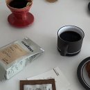 테라 | 포항 테라로사 포스텍점 후기｜북카페 분위기에서 즐기는 핸드드립 커피 맛집