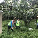 순천-13호 이미지