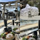 41190-01-07-133 | 【교토】가볼만 한 신사（야스이 곤피라궁 ）&amp;힐링 브런치