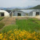 혜민농장 이미지